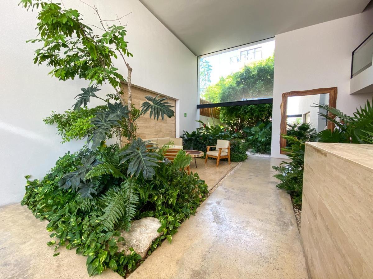 Big Studio At Kaab By The Beach With Roof Top Pool, Sauna And Jacuzzi Near Paseo Del Carmen Mall Playa del Carmen Exteriör bild