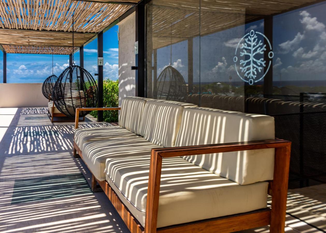 Big Studio At Kaab By The Beach With Roof Top Pool, Sauna And Jacuzzi Near Paseo Del Carmen Mall Playa del Carmen Exteriör bild