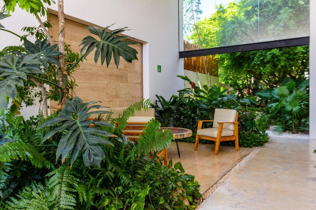 Big Studio At Kaab By The Beach With Roof Top Pool, Sauna And Jacuzzi Near Paseo Del Carmen Mall Playa del Carmen Exteriör bild