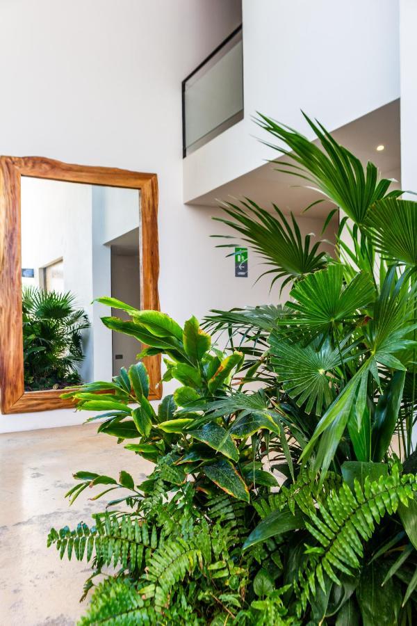 Big Studio At Kaab By The Beach With Roof Top Pool, Sauna And Jacuzzi Near Paseo Del Carmen Mall Playa del Carmen Exteriör bild